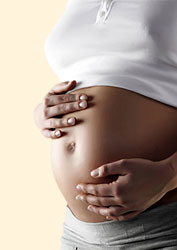 Bauch - Schwangerschaft