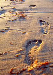 Fußabdrücke am Strand